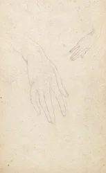 Estudo das mãos
