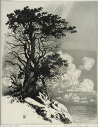 Costa em Monterey, Califórnia