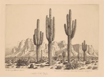 Sentinelas do Deserto, Apache Trail, Arizona