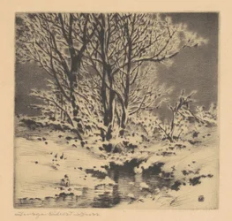 Primeira Neve (Nº 1)
