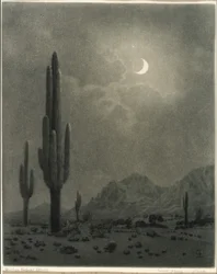 Lua nova e estrela da tarde, Phoenix