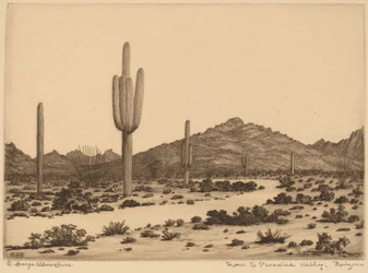 Estrada para Paradise Valley, Arizona