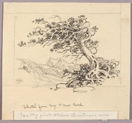 Esboço para cartão de Natal (Windswept Pine [no. 1])