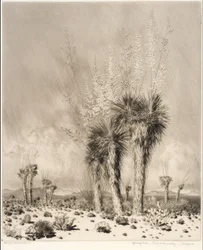 Primavera, Paradise Valley, Arizona