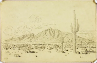 Sem título (desenho de transferência para Camelback Mountain, Phoenix)