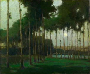 Paisagem ao luar (óleo sobre tela)