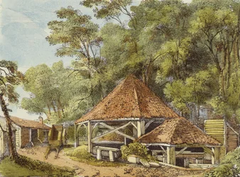 Obras de água, Kew Gardens, prato 22 de Kew Gardens: Uma série de vinte e quatro desenhos sobre pedra, gravada por Charles Hullmandel (1789-1850), publicada em 1820 (litografia colorida à mão)