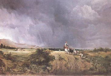 Paisagem com vacas