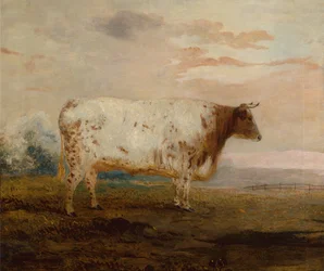 Juno, uma vaca de chifre curto vermelho em uma paisagem extensa (óleo)