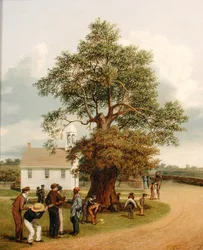 O Carvalho dos Apóstolos