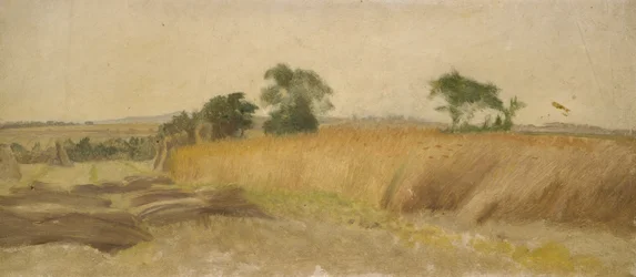 Estudo de um campo de milho