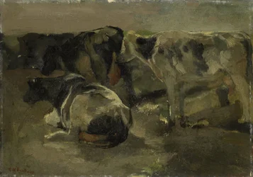 Quatro Vacas