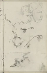 Cavalos e cabeças humanas