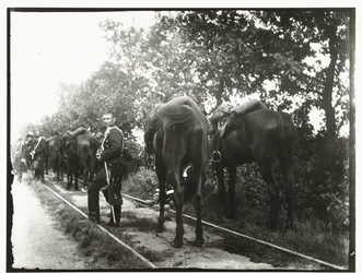 Cavalaria descansando ao longo de uma ferrovia