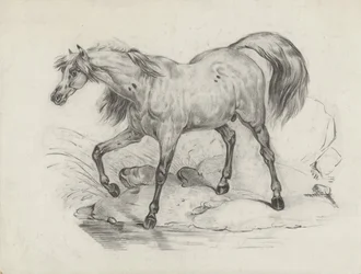 Cavalo de pé, à esquerda
