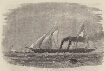 O gun-boat da sua majestade, peixe-voador