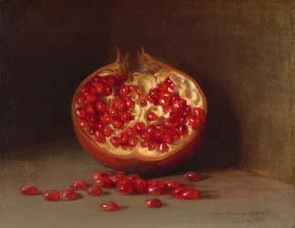 Em Pomegranate, Siena