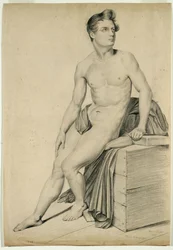 Untitled - Macho nu copiado de uma litografia de 1842 (grafite em papel de capa amarela)