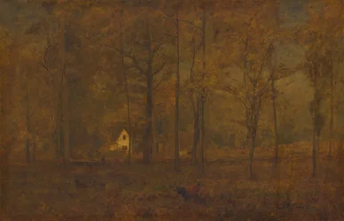 Bosques de outono