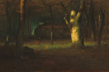Pôr do sol na floresta, 1891.