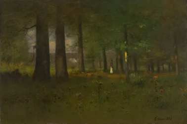 A Orla da Floresta