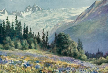 Campanula e Outras Flores de Julho no Col Des Montets (cor litho)