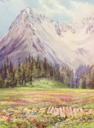 Gentiana verna e Primula farinosa nos campos baixos de Champex no final de maio, com parte do maciço de Saleinaz em fundo (litografia a cores)