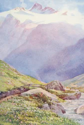 Os açafrões de outono nos campos perto da aldeia de Trient, com a Aiguille du Tour em fundo, setembro (litografia a cores)