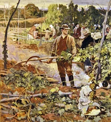 Os Gleaners (lápis e aguarela sobre papel)