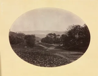 Uma estrada em Williamstown