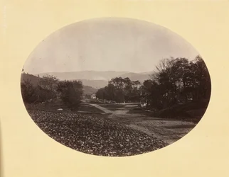 Uma estrada em Williamstown, c. 1870.