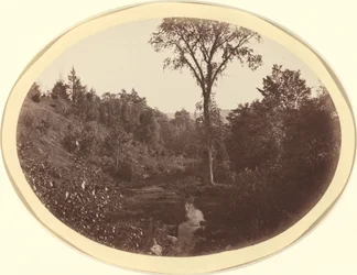 Paisagem perto de Williams College