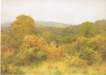 Jardim da natureza
