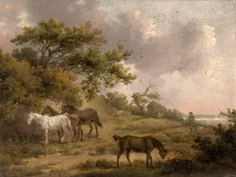Paisagem com quatro cavalos