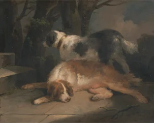 Marcadores