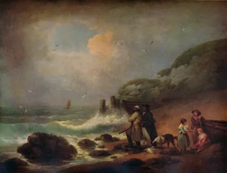 Fotografar aves marinhas, 1795