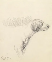 Estudo de um cão de caça, 1794