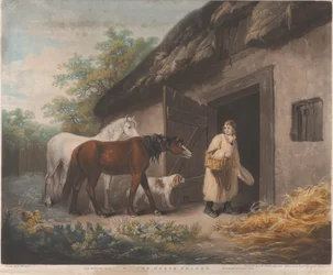 O Alimentador de Cavalos