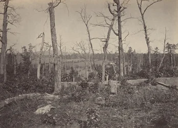 Campo de Batalha de Resacca, Geórgia No. 3, década de 1860.