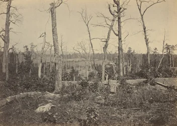 Campo de batalha de Resaca, Geórgia, n.º 3 de 1864 (foto)