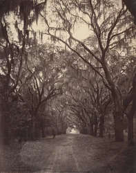 Cemitério Bonaventure, Quatro Milhas de Savannah, 1866.
