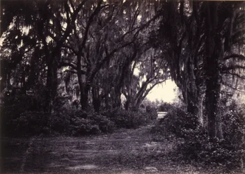 Bonaventure, Savannah, Geórgia