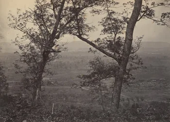 Botão do pomar de Mission Ridge, década de 1860.
