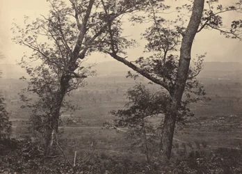 Botão de pomar de Mission Ridge, 1864-1866.