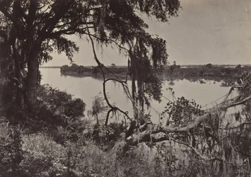 Rio Savannah, perto de Savannah, Geórgia, década de 1860.