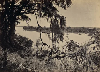 [Rio Savannah, perto de Savannah, Geórgia]
