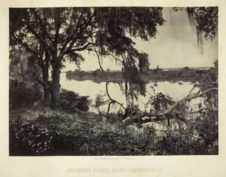 Savannah River, perto de Savannah, GA, 1866.