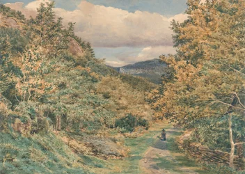 Uma estrada perto de Bettws-y-Coed