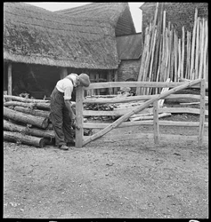 Um homem a fazer um portão de campo na aldeia de Aston, 1930-50 (foto)