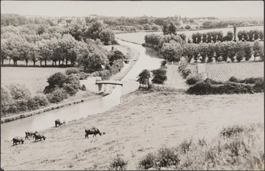 Vista para a ponte de Globe Lane sobre o Grand Union Canal, século XX (foto)